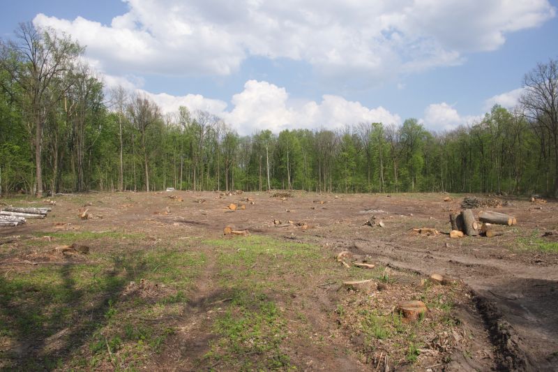 Pre- and Post-Clearing Site