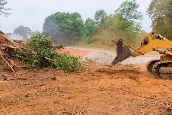 Forestry Mulching Service in Brighton