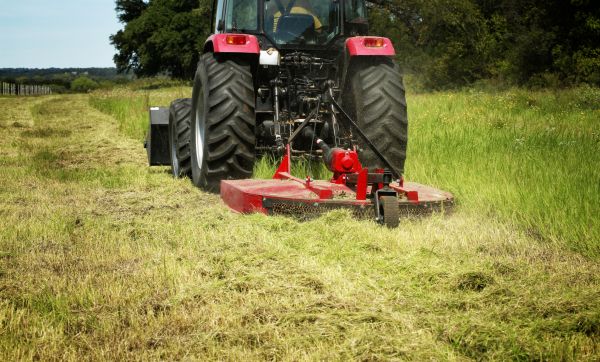 Brush Clearing Service in Brighton
