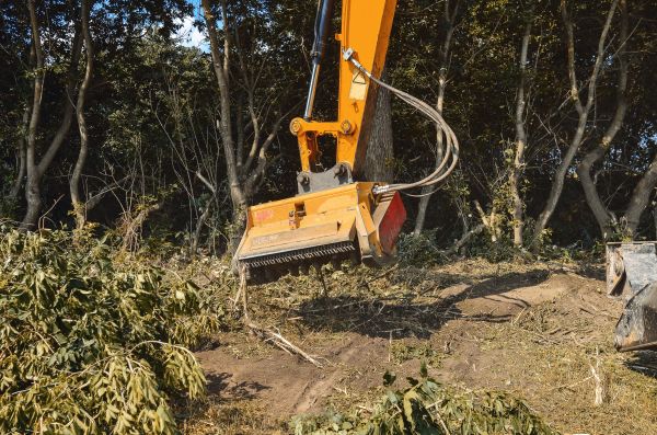 Brush Removal Service in Brighton