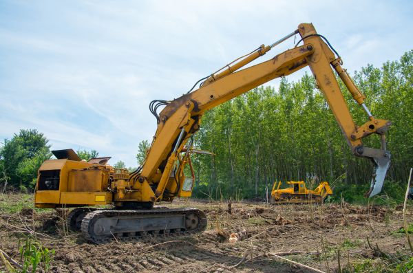 Farm Clearing in Brighton