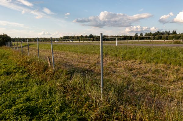 Property Line Clearing in Brighton