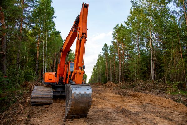 Backhoe Land Clearing in Brighton