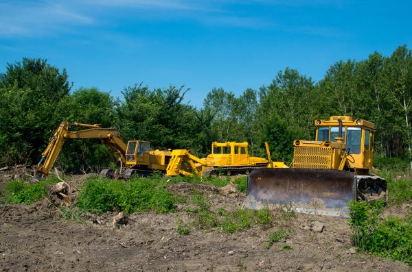 Bulldozer Clearing in Brighton