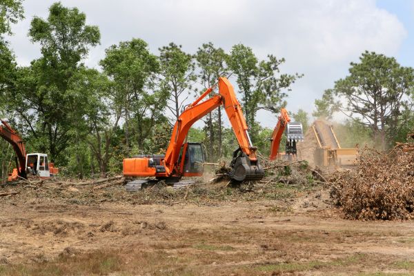 Commercial Lot Clearing in Brighton