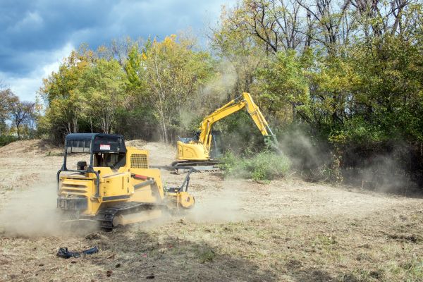 Terrain Clearing in Brighton