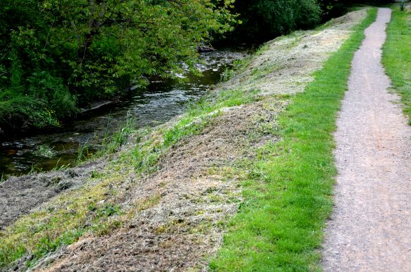 Trail Cutting in Brighton